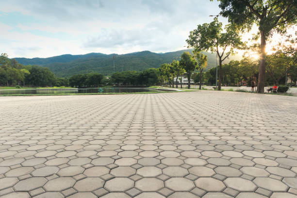 Best Local Driveway Pavers  in Tustin, CA