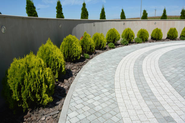 Best Cobblestone Driveway Pavers  in Tustin, CA